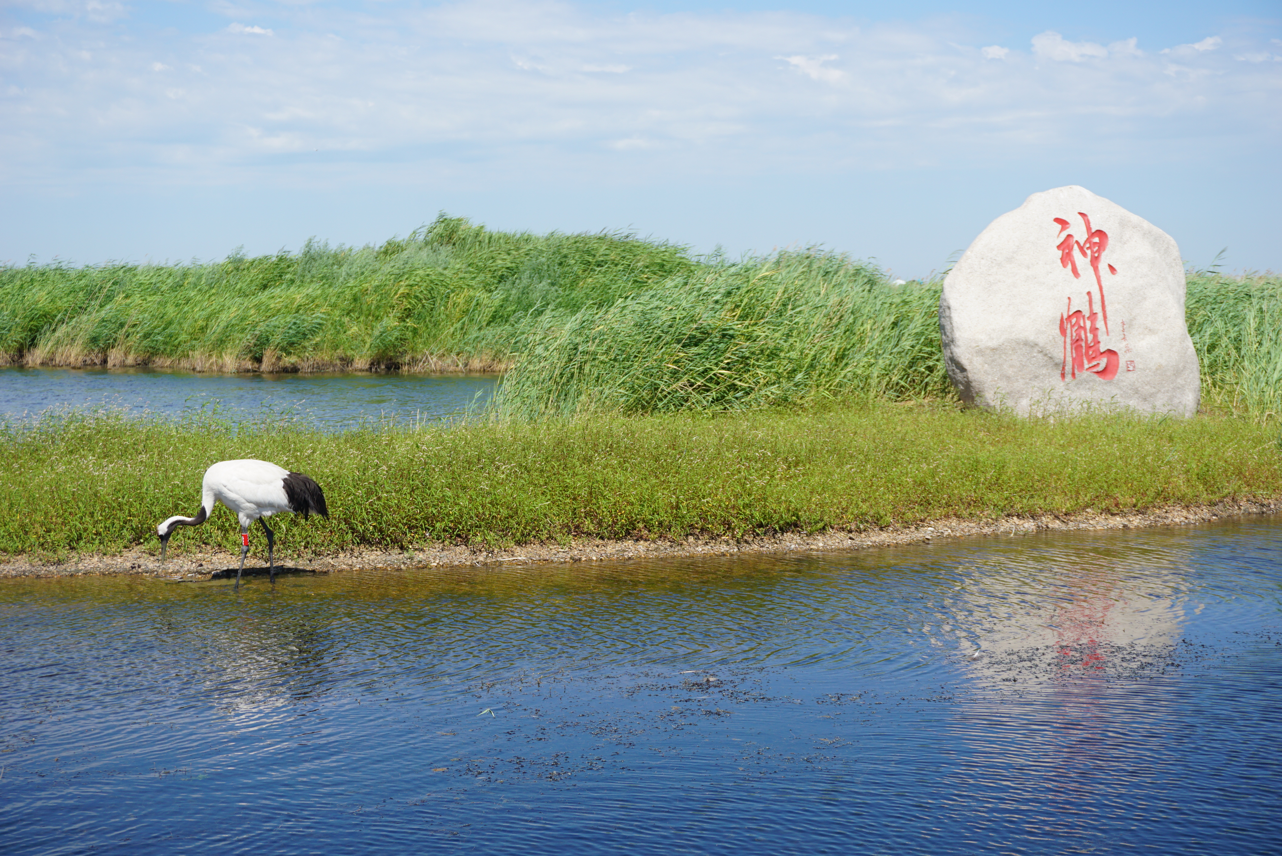 运城,深度评论文章解析