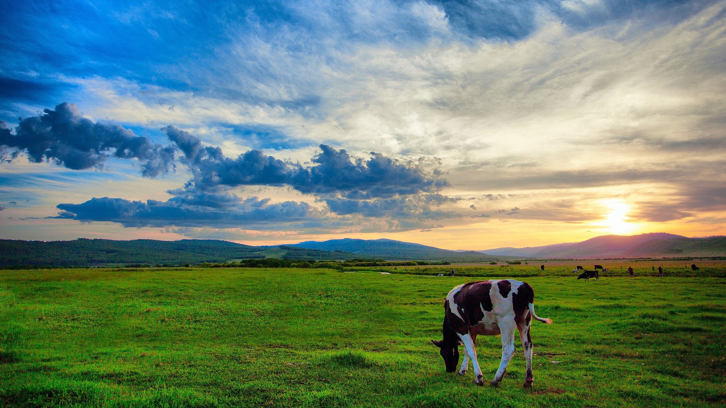呼伦贝尔,草原荣光与时代印记的交响